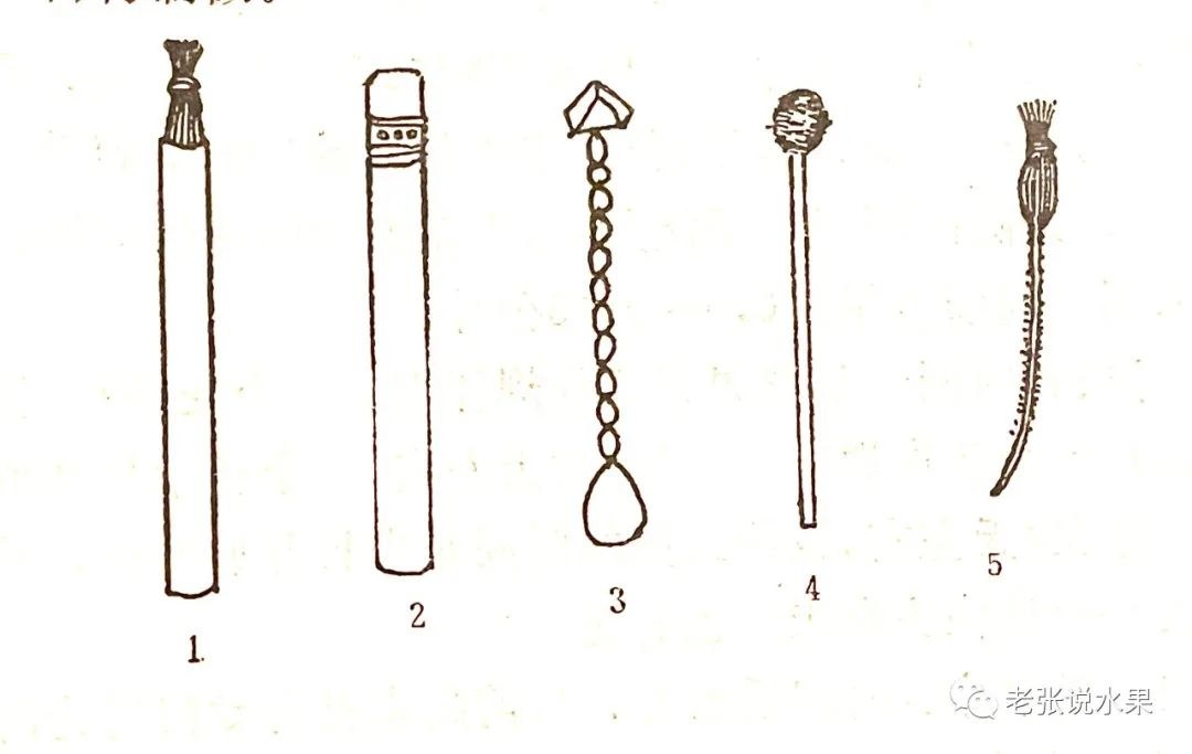 102.jpg