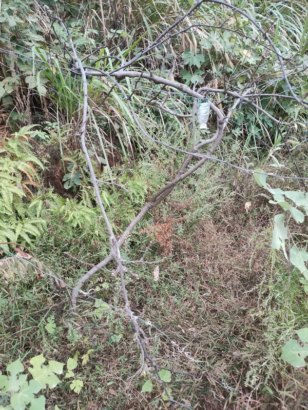 IMG20221005174654_resize.jpg