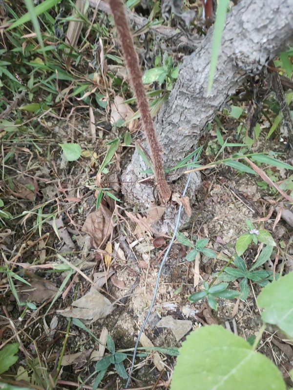 IMG20221005174714_resize.jpg