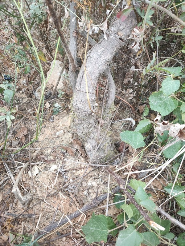 IMG20221004123414_resize.jpg
