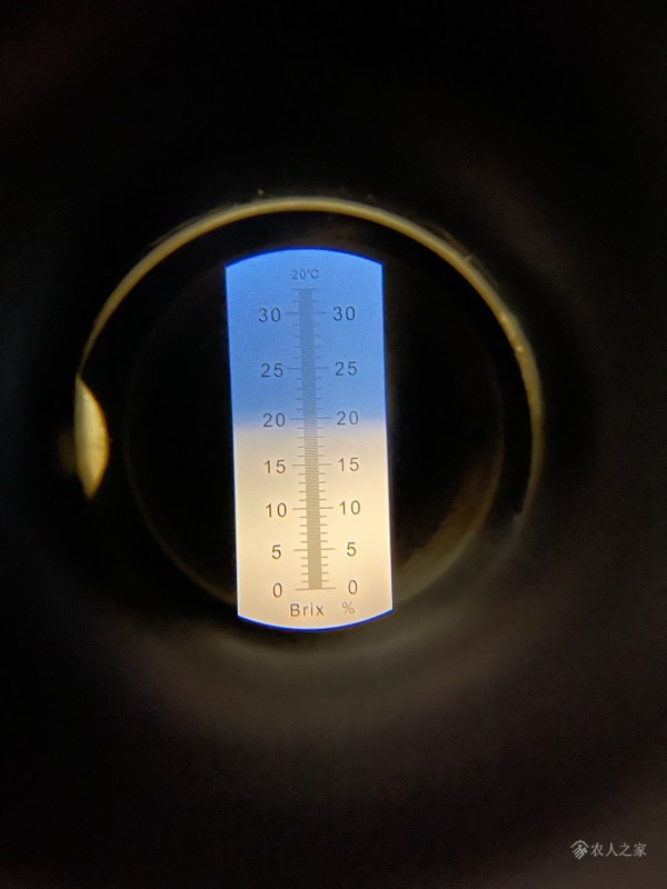 19-20.jpg