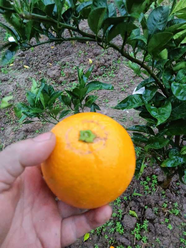 IMG20221204161901.jpg