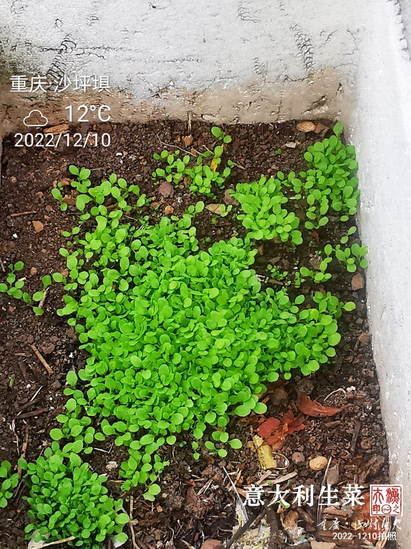 IMG_20221210_155250.jpg