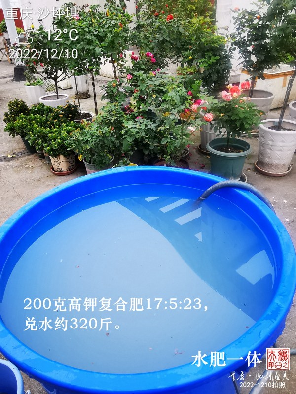 IMG_20221210_160118.jpg