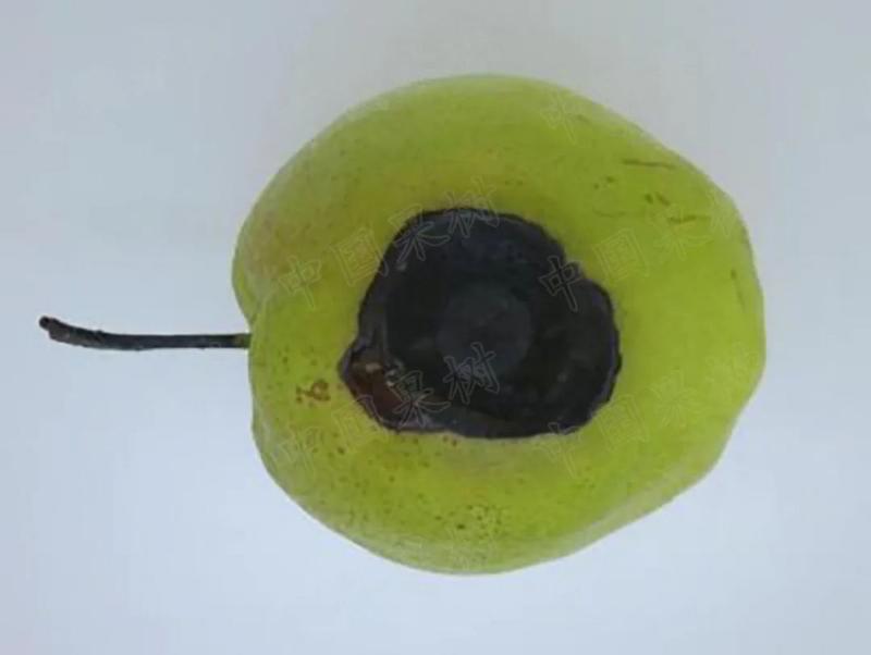 134.jpg