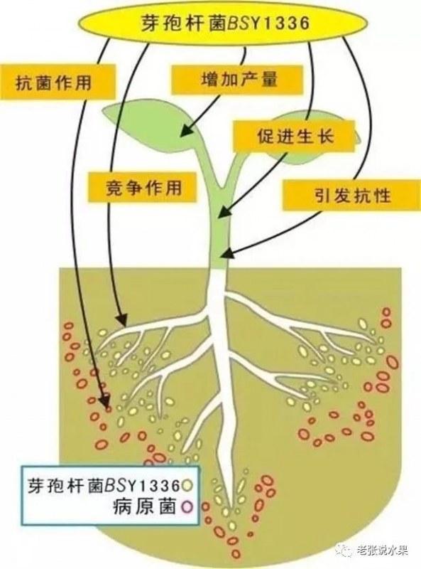 189.jpg