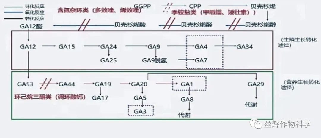 640.jpg