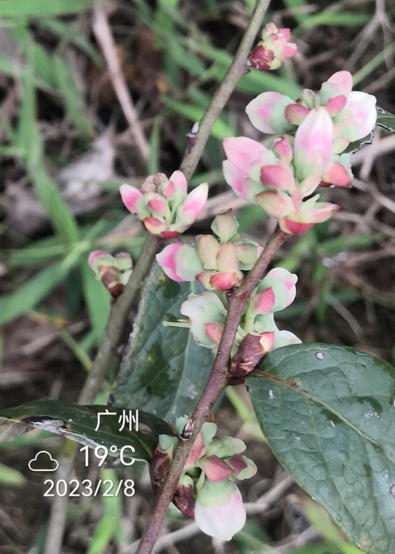 IMG_20230208_195824.jpg