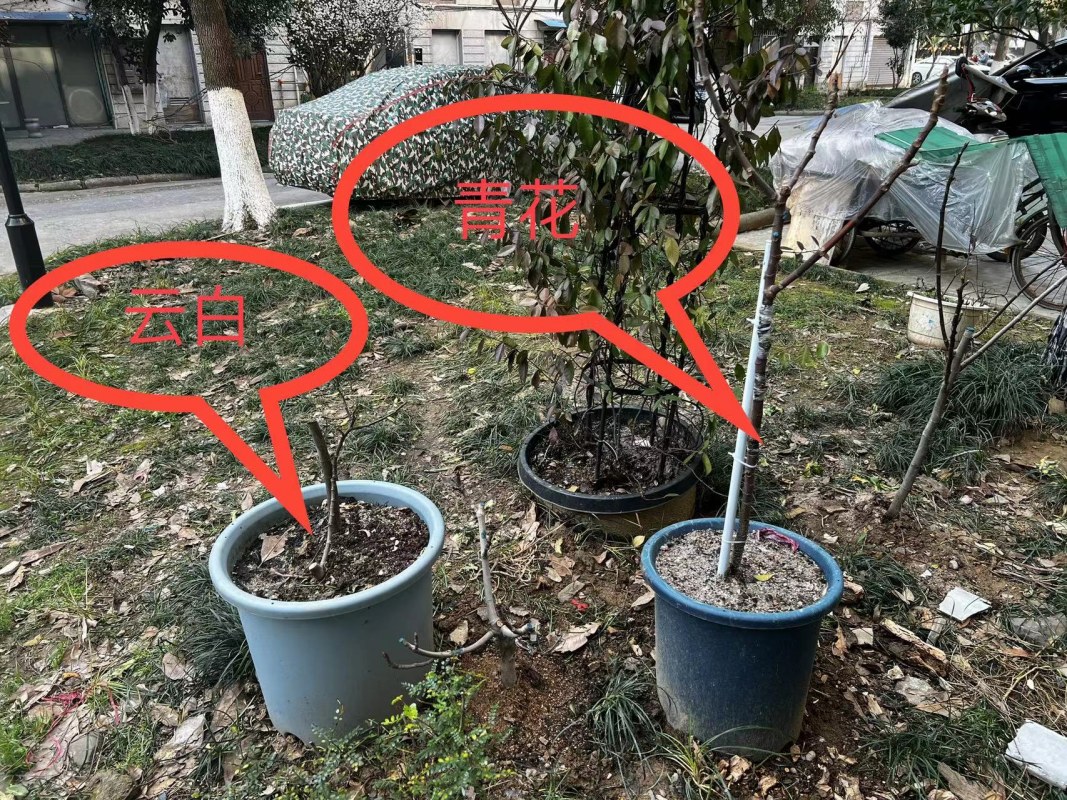 -ưף2023-1ɯ-໨2020-8