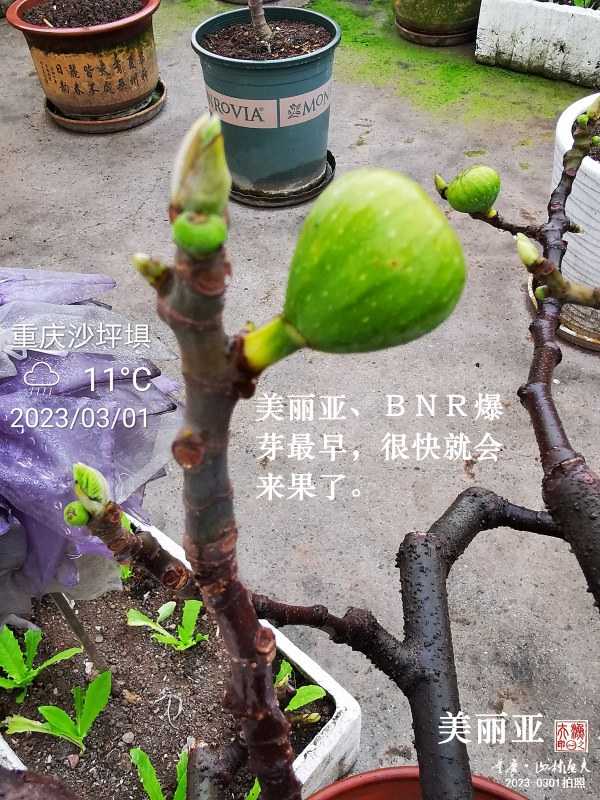 1677904504166.jpg