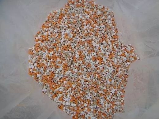 139.jpg