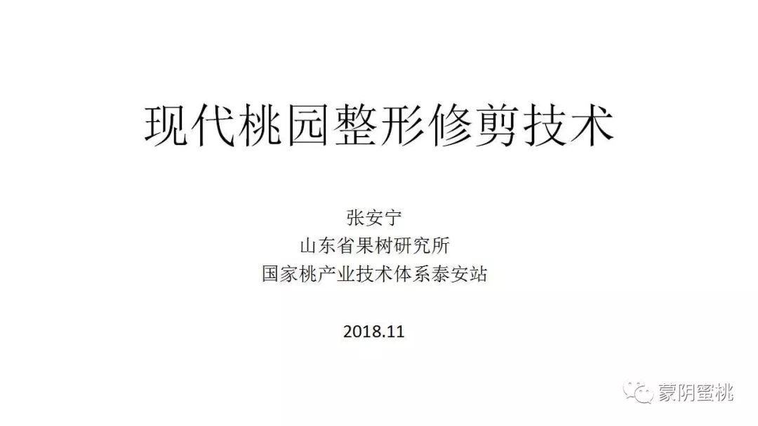146.jpg