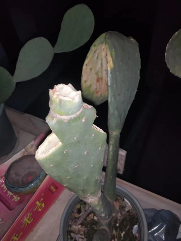 ΢ͼƬ_20230307151936.jpg