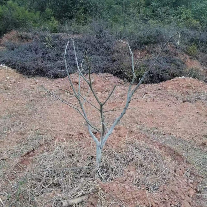 ΢ͼƬ_20230311200258.jpg