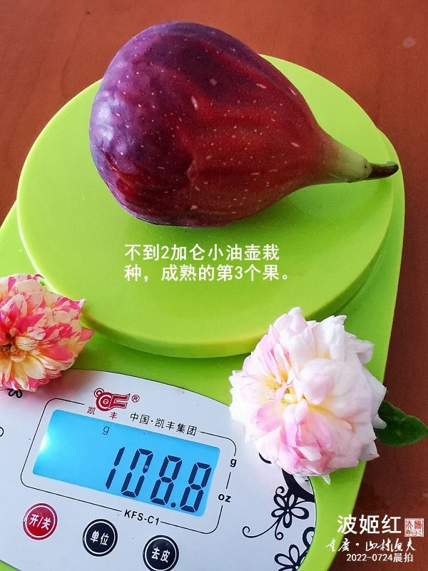 2022-07-24B.jpg