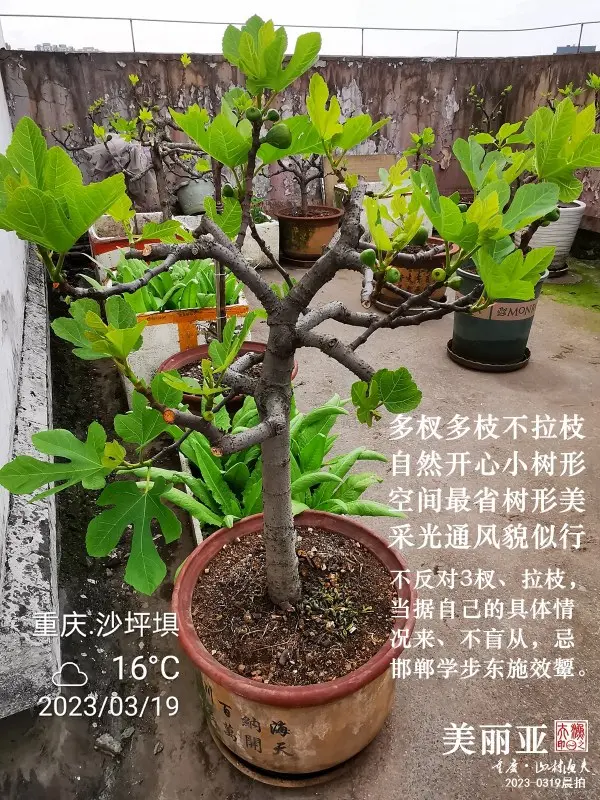 2023-03-19C.png