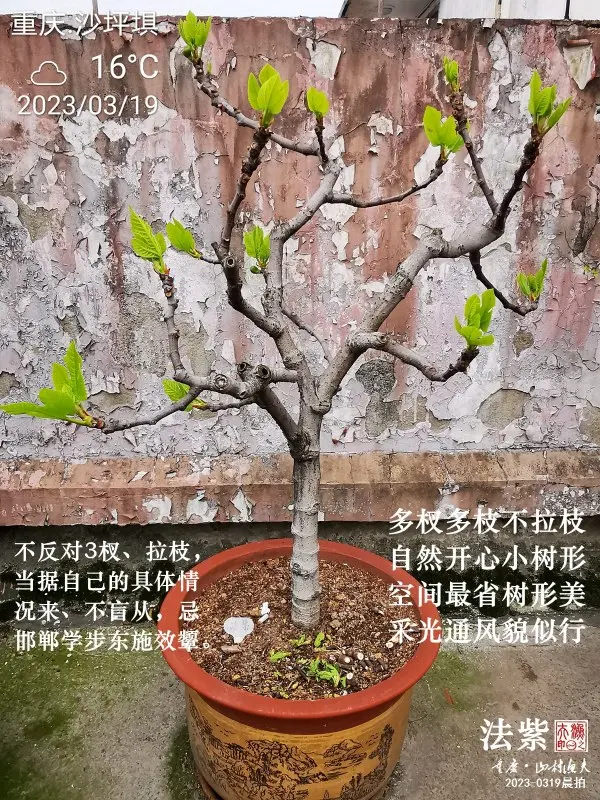 2023-03-19B.png