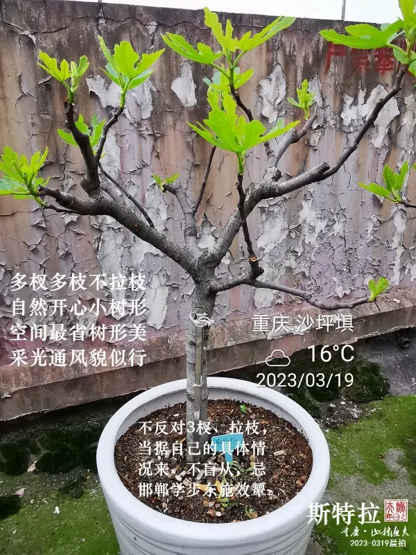 2023-03-19EE.png