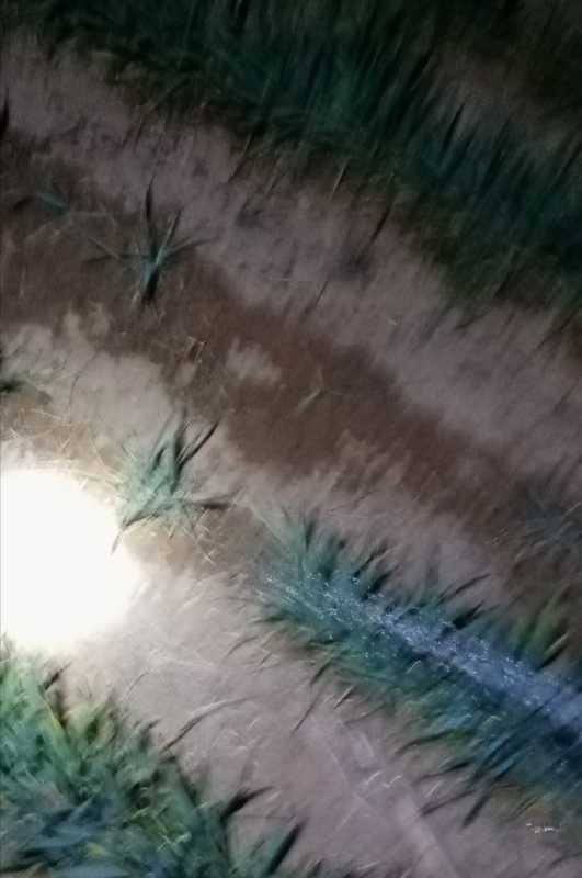Screenshot_20230320_171315.jpg