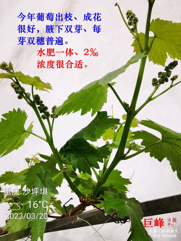 IMG_20230320_095100.jpg