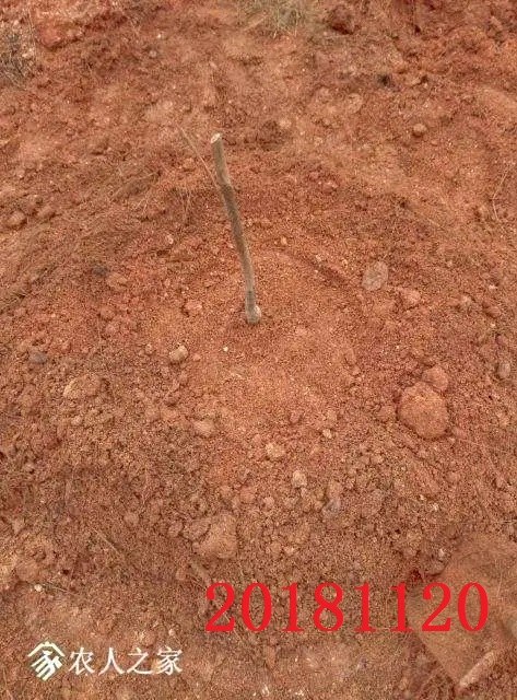 20181120.jpg