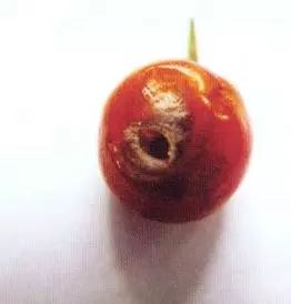 40.jpg
