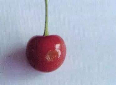 38.jpg