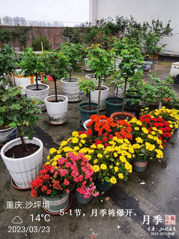 IMG_20230323_100913.jpg