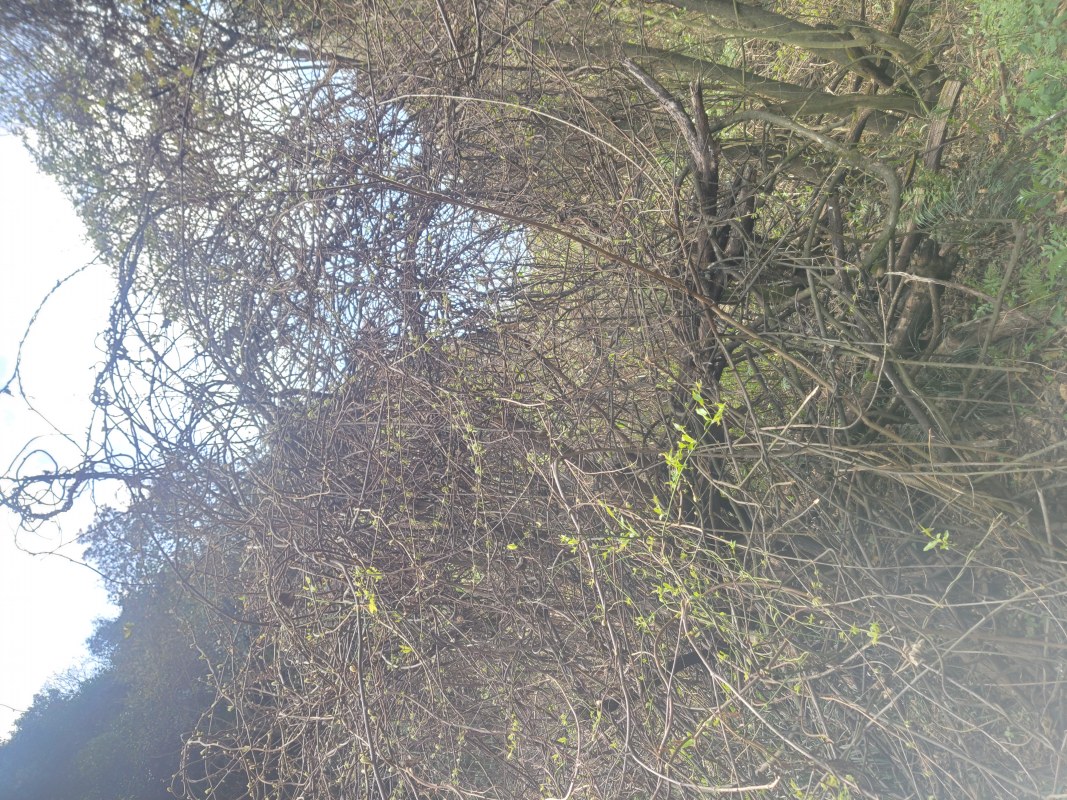 2303264.jpg
