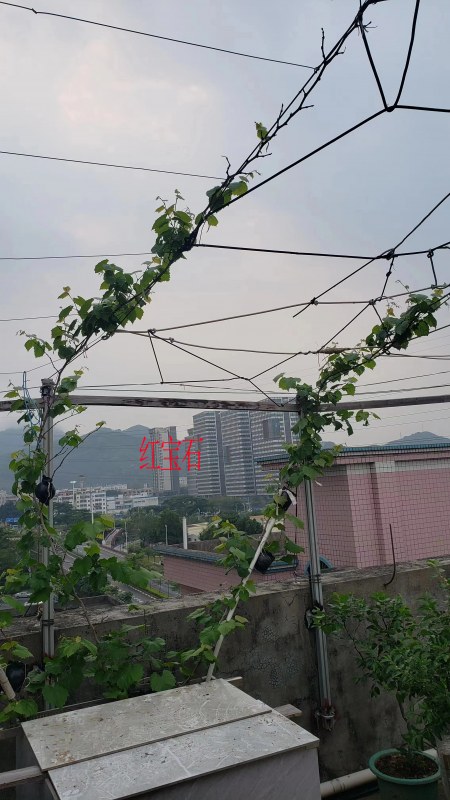 ΢ͼƬ_202304121459033.jpg