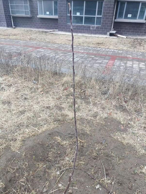 ΢��ͼƬ_20230414094813.jpg