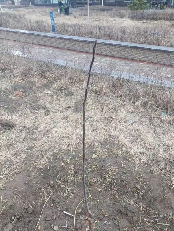 ΢��ͼƬ_20230414094824.jpg