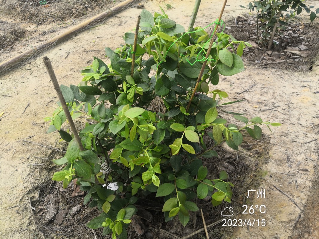 IMG_20230415_100528.jpg