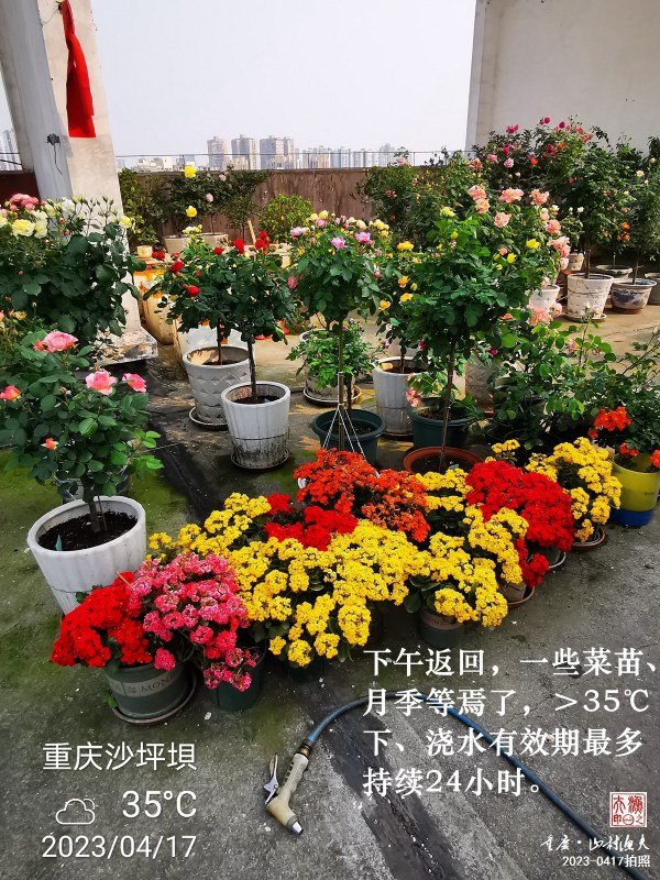 IMG_20230417_165143.jpg