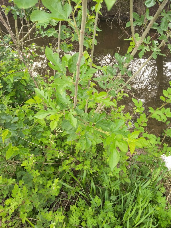 IMG20230419072657.jpg