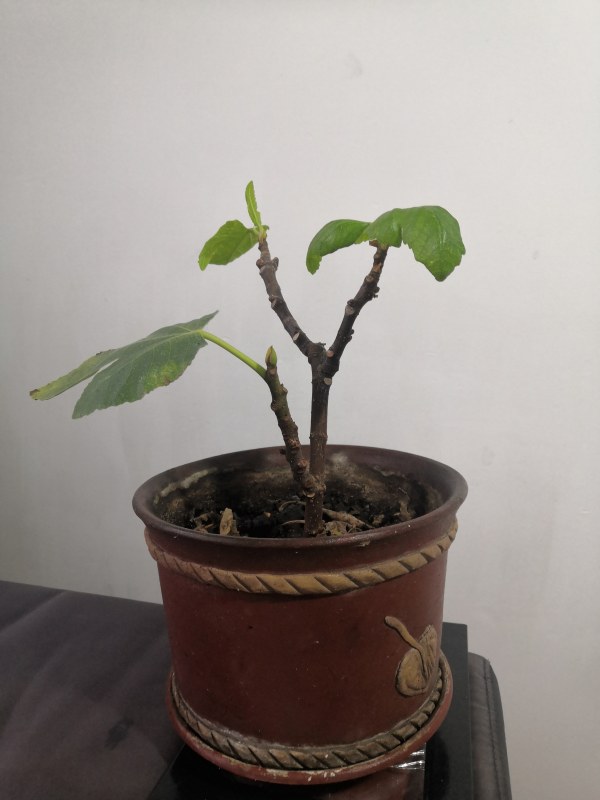 ڵͼƬ3