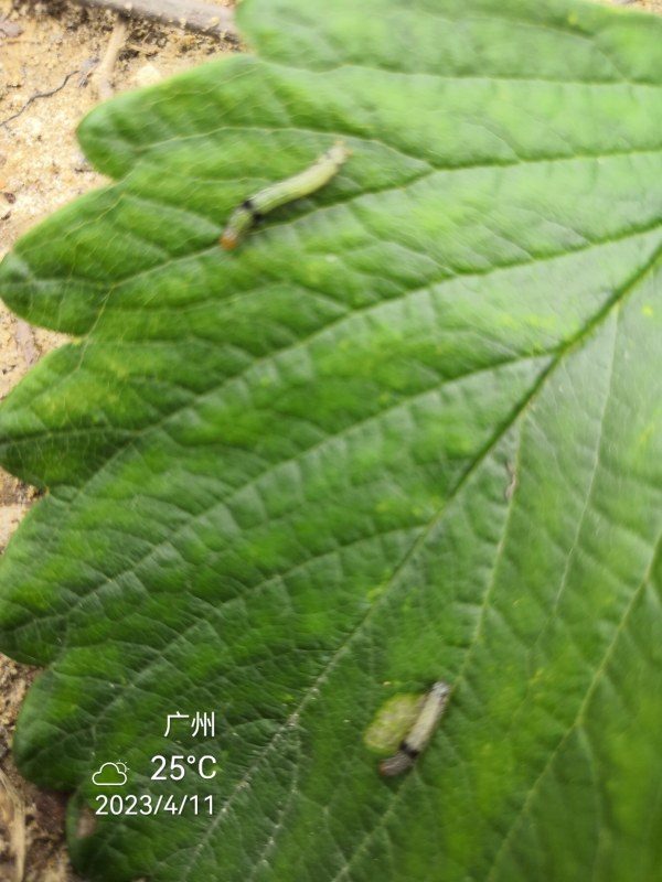 IMG_20230411_125615.jpg