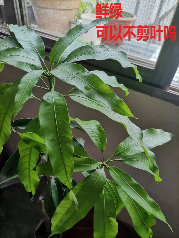 ΢ͼƬ_20230508152724.jpg