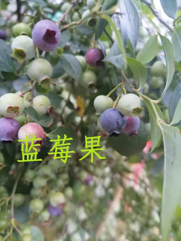 ΢ͼƬ_20230512143221.jpg
