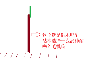 tu5.png