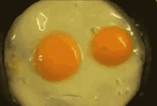 20191002_121311596_iOS.gif