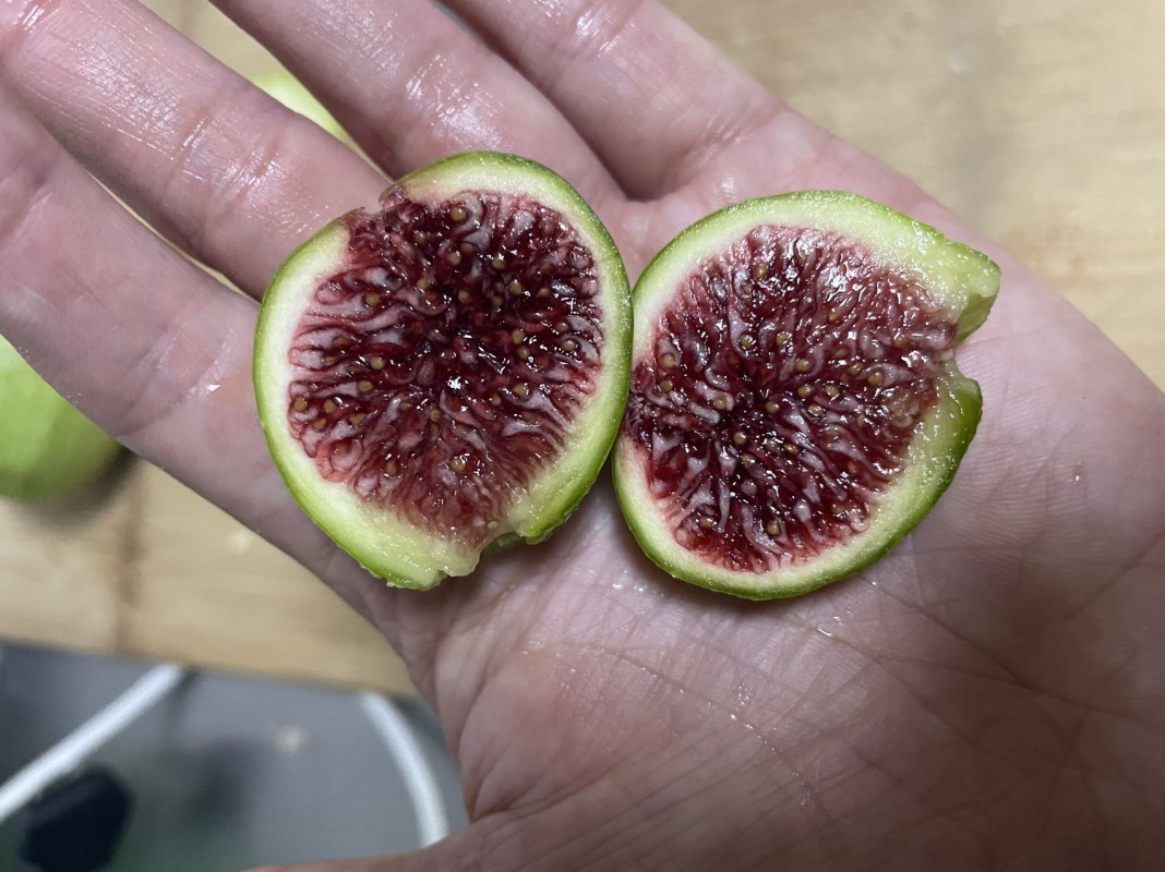 ΢ͼƬ_20230606124628.jpg
