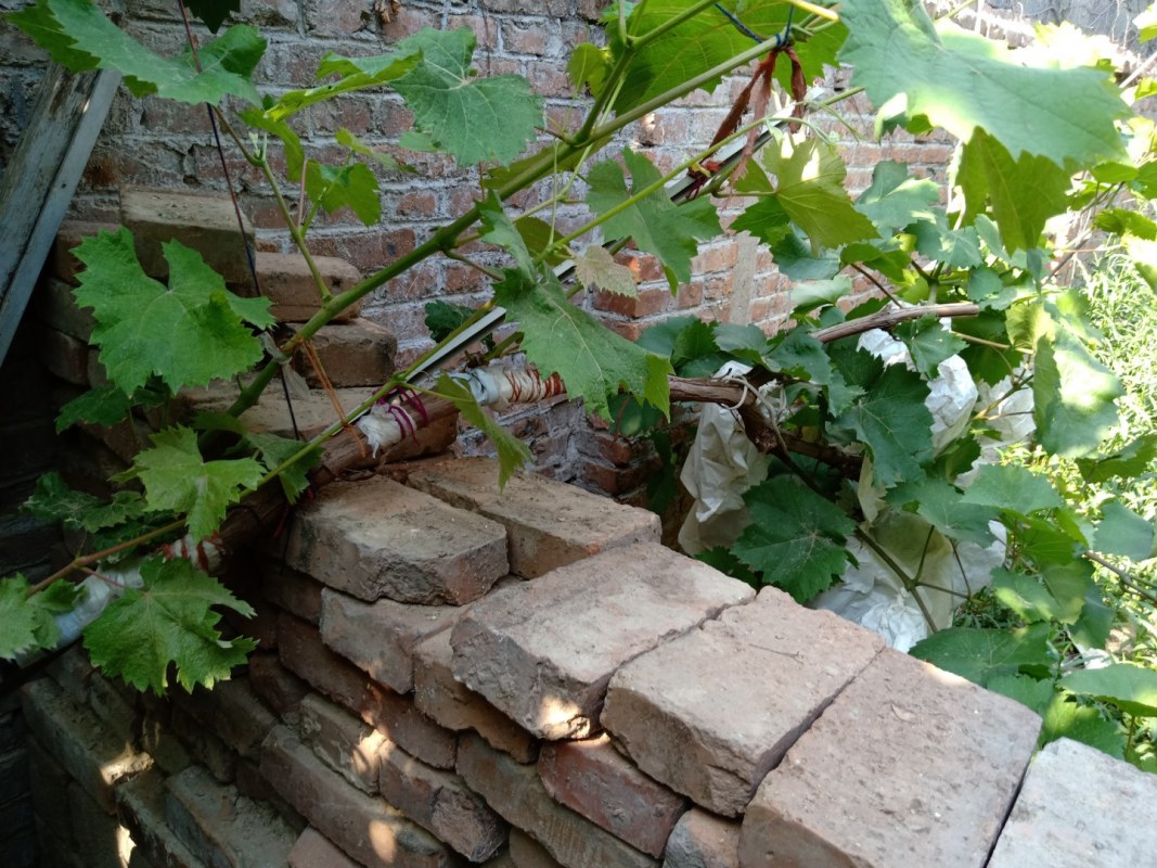 IMG20220616155320.jpg
