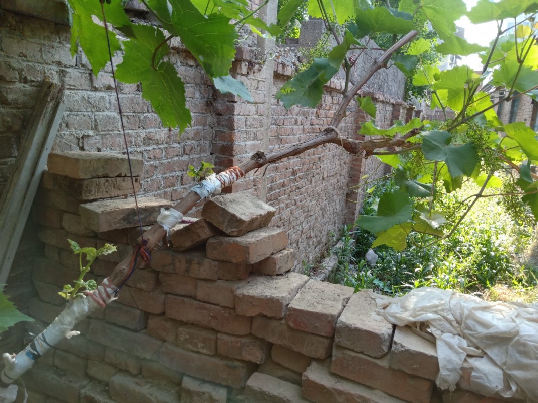 IMG20220523074737.jpg