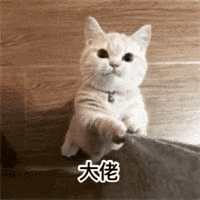 20190914_164857272_iOS.gif