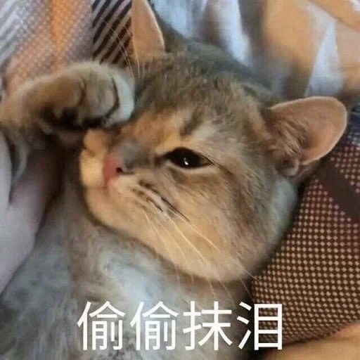 20190908_175544448_iOS.jpg