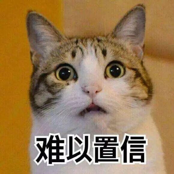 20190908_103012534_iOS.jpg