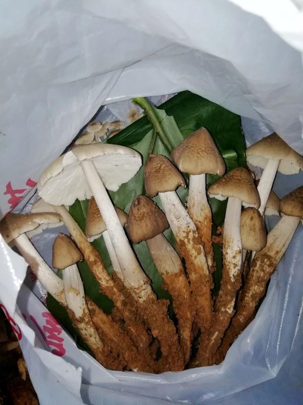 ����������� (3).jpg