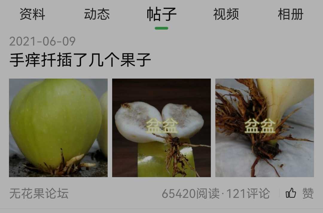 Screenshot_20230625_085046.jpg