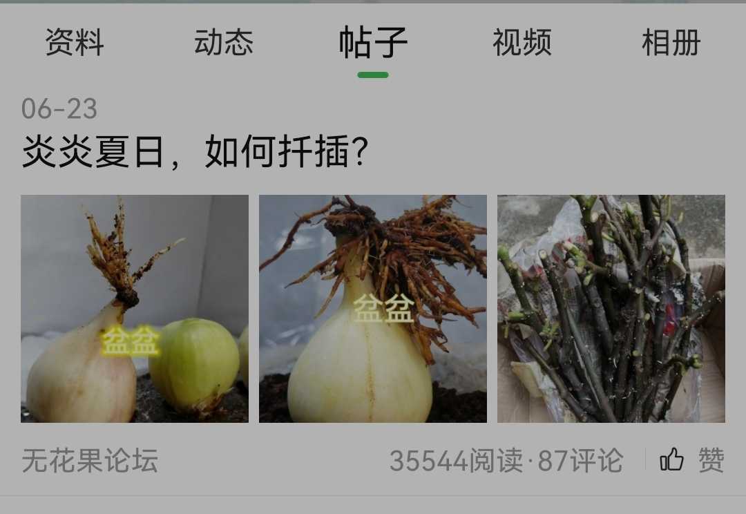 Screenshot_20230625_132435.jpg